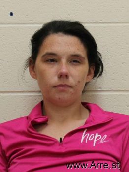 Kaley Dawn Laws Mugshot