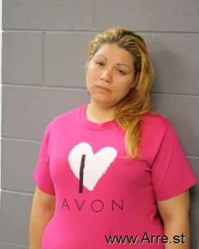 Liliana  Lopez-chavez Mugshot