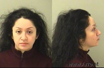 Marisol  Carrasco Mugshot