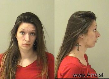 Megan Evonne Davison Mugshot