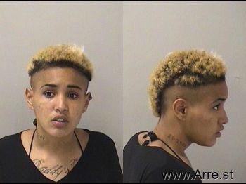 Olivia R Castillo Mugshot