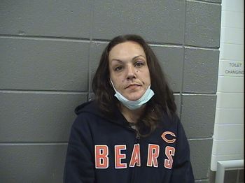 Robyn  Johnson Mugshot