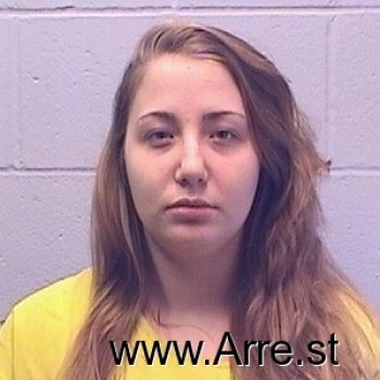 Sarah E Olson Mugshot