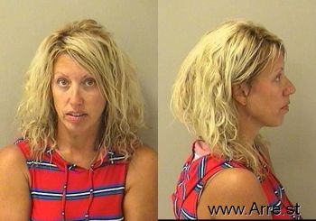 Stephanie Suzanne Biedron Mugshot