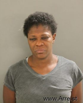 Tamara L Holmes Mugshot