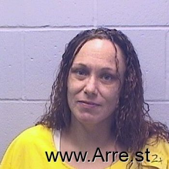 Tammy L Fielder Mugshot