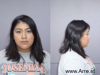 Tonya  Gonzalez Mugshot