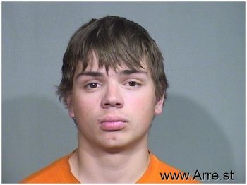 Tyler Arlyn Davis Mugshot