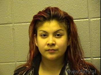 Vanessa  Sanchez Mugshot