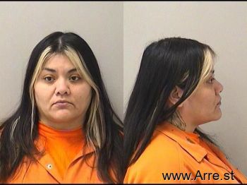 Vanessa E Aguirre Mugshot