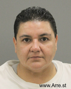 Anita Cruz Arrest Mugshot