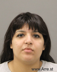 Diana Jurado-ortiz Arrest Mugshot