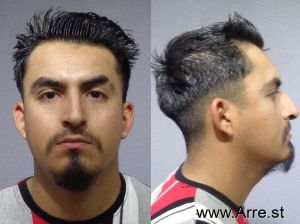 Fernando Castellanos Arrest Mugshot