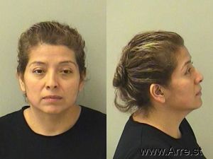 Hortencia Rojas Arrest Mugshot