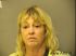 ELIZABETH ANDREWS Arrest Mugshot Cook 01/03/2013