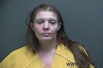 Amanda Dawn Parks Mugshot