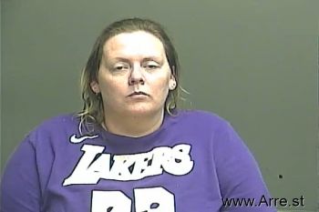 Amanda L. Porter Mugshot