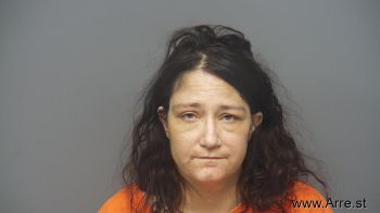 Amanda Ann Schneider Mugshot