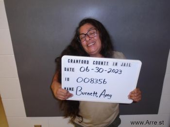 Amy S Burnett Mugshot