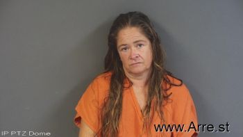 Amy Lynn Fultz Mugshot