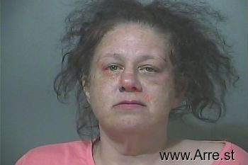 Amy Ann Harris Mugshot