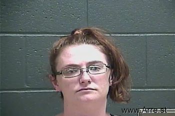 Amy Faye Harrison Mugshot