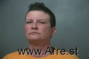 Amy L Hollingsworth Mugshot