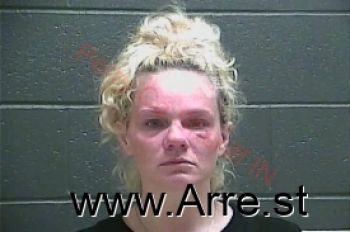 Amy Michelle Kessinger Mugshot