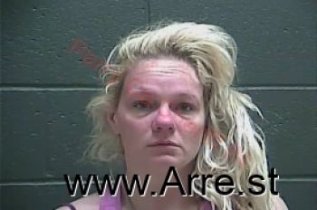 Amy Michelle Kessinger Mugshot