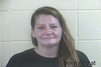 Amy Lynn Schaber Mugshot