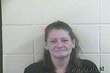 Amy Lynn Schaber Mugshot