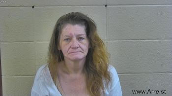 Amy Lynn Schaber Mugshot