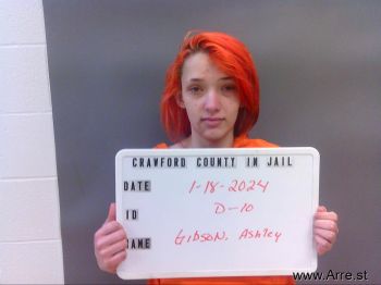 Ashley  Gibson Mugshot