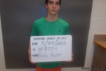 Austin Levi Fields Mugshot