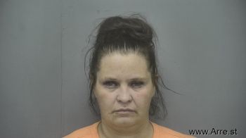 Amanda  Olson Mugshot