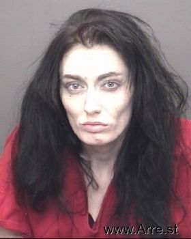 Amanda Ann Porter Mugshot