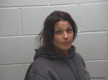 Ariel Amberlynn Williams Mugshot