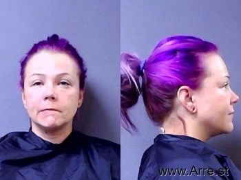 Arielle Roxanne Johnson Mugshot