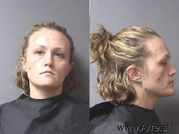 Ashlee Dawn Martin Mugshot