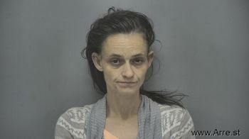 Ashley Michelle Ellinger Mugshot