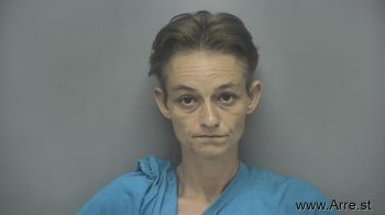 Ashley Michelle Ellinger Mugshot