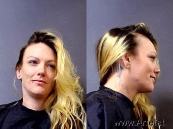 Ashley Ann Gearns Mugshot