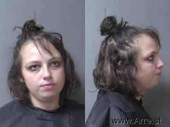 Ashley Nicole Raikes Mugshot