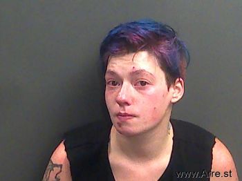 Ashley Renee Wheeler Mugshot