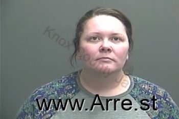 Brandi Lee Wells Mugshot