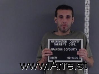 Brandon  Gofourth Mugshot