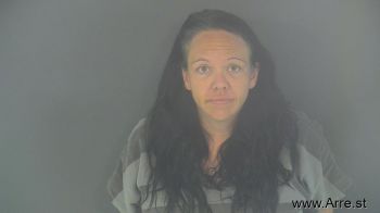 Brandylyn Elaine Hutchinson Mugshot