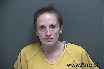 Brittany Brooke Reed Mugshot