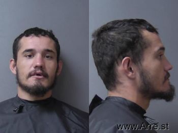 Brandon Eldon Davidson Mugshot