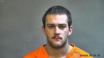 Brandon James Nicholson Mugshot